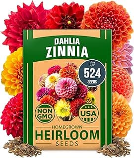 HOME GROWN Zinnia Dahlia Seeds Pack for 2025 – 524 𝗡𝗢𝗡-𝗚𝗠𝗢 𝗨𝗦𝗔 Flower Seeds | Vibrant Zinnia Elegans for Pollinator Gardens, Borders & Containers | Easy-to-Grow Outdoor Blooms