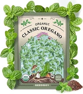 Organic Oregano Seeds for Planting Indoor and Outdoor, Non-GMO and USDA Certified Herb Seed Packet for Hydroponic Garden Indoor or Planting Outdoors (Italian Oregano)