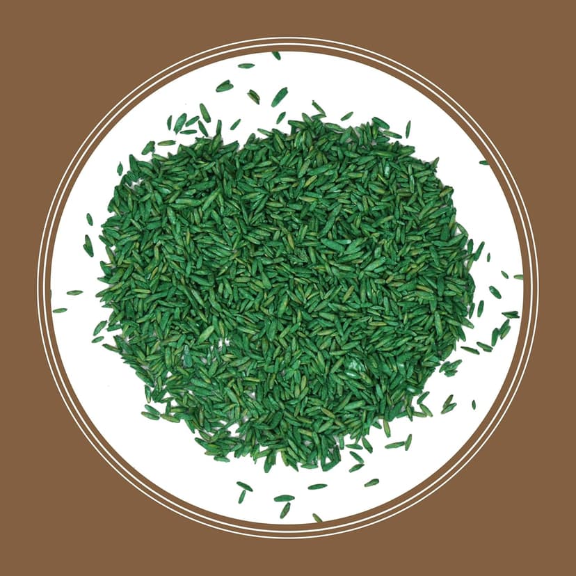 Pennington Bare Spot Repair Penkoted Grass Seed Mixture Central 1 lb