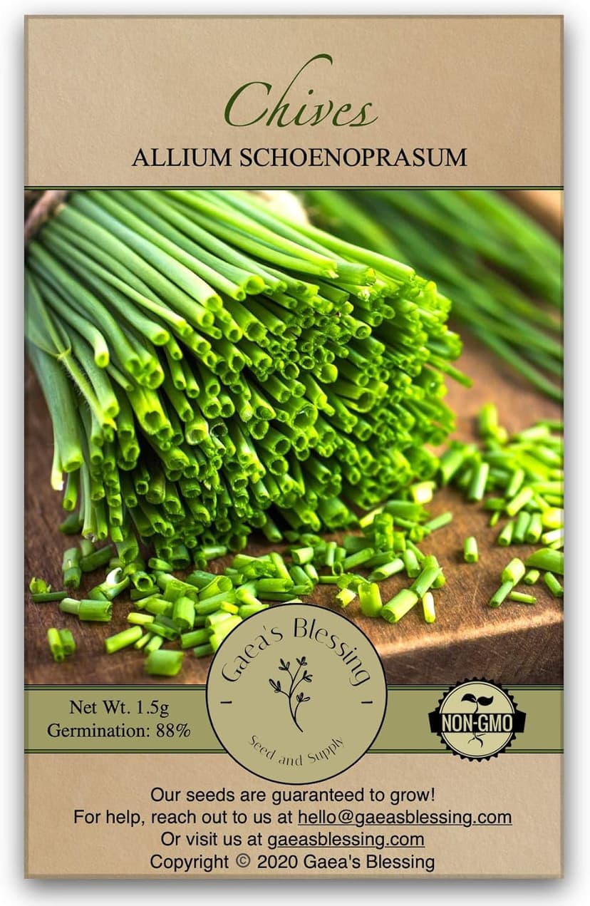 Gaea's Blessing Seeds - Chives Seeds (1000 Seeds) Non-GMO Seeds with Easy to Follow Planting Instructions - Open-Pollinated Heirloom 88% Germination Rate 1.5g (Single Packet)