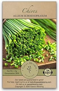 Gaea's Blessing Seeds - Chives Seeds (1000 Seeds) Non-GMO Seeds with Easy to Follow Planting Instructions - Open-Pollinated Heirloom 88% Germination Rate 1.5g (Single Packet)