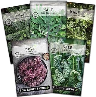 Sow Right Seeds - Kale Seed Collection for Planting - Non-GMO Heirloom Packet with Instructions to Plant and Grow a Home Vegetable Garden, Great Gardening Gift