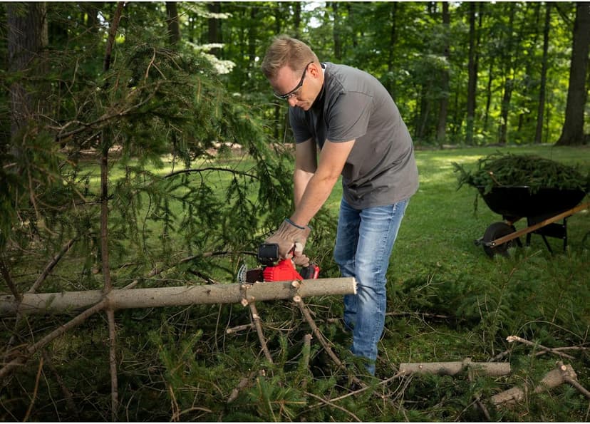 CRAFTSMAN V20 Cordless Pruning Saw, 6" Chain, Small Chainsaw with Battery and Charger Included (CMCCS320D1)