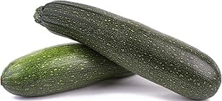 50 Black Beauty Zucchini Seeds for Planting – Heirloom, Non-GMO, USA Grown – Summer Squash (Cucurbita Pepo) – by RDR Seeds
