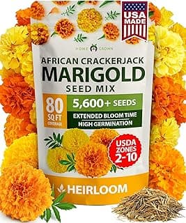 HOME GROWN Marigold Seeds Bulk Mix - 5600+𝗡𝗢𝗡-𝗚𝗠𝗢,𝗨𝗦𝗔 Crackerjack Marigold Flower Seeds for Planting Outdoors -Flowers Seed for Companion Planting -Wildflower African Marigold(Tagetes erecta)