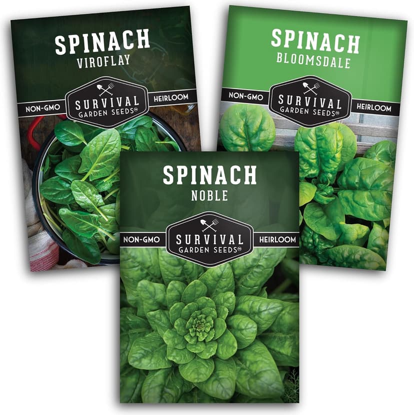 Survival Garden Seeds Spinach Seed Collection – 3 Packets of Seeds with Growing Instructions – Viroflay, Noble, Bloomsdale Spinach Varieties – Non-GMO Heirloom Open-Pollinated Seeds to Plant