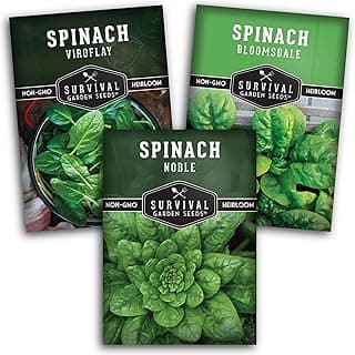 Survival Garden Seeds Spinach Seed Collection – 3 Packets of Seeds with Growing Instructions – Viroflay, Noble, Bloomsdale Spinach Varieties – Non-GMO Heirloom Open-Pollinated Seeds to Plant