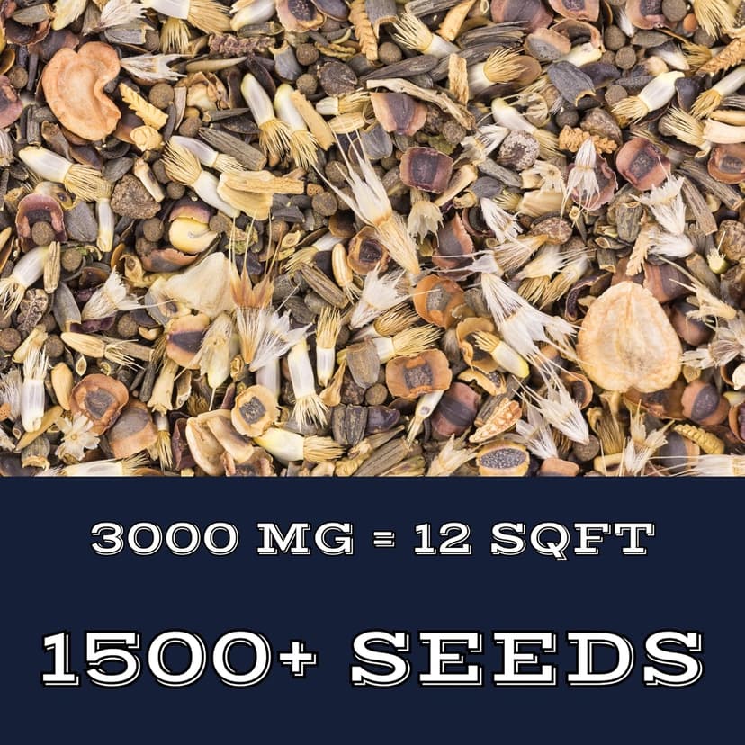 Shade Wildflower Mix (Seed Packet) - Shade, Perennial, Deer-Resistant, Hummmingbird, Midwest and Others Create a Colorful Garden That Enhances Your Outdoor Space with Natural Beauty!
