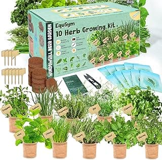 10 Herb Window Garden Kit Indoor - Herb Seeds for Indoor & Outdoor Gardening, Seeds for Planting, Gardening Gift for Kid Mother's Day Women, Complete Herb Growing Kit with Pots, Soil, Basil, Mint