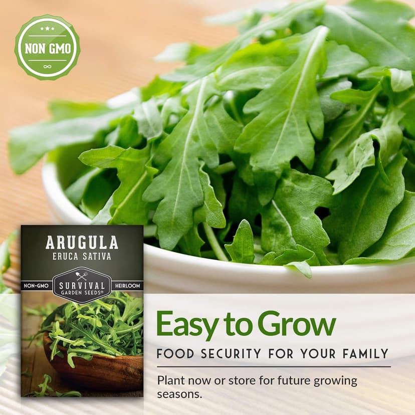 Survival Garden Seeds - Arugula Seeds for Planting - 1 Pack with Instructions to Grow Garden Rocket Green Leafy Vegetables in Your Home Vegetable Garden - Non-GMO Heirloom