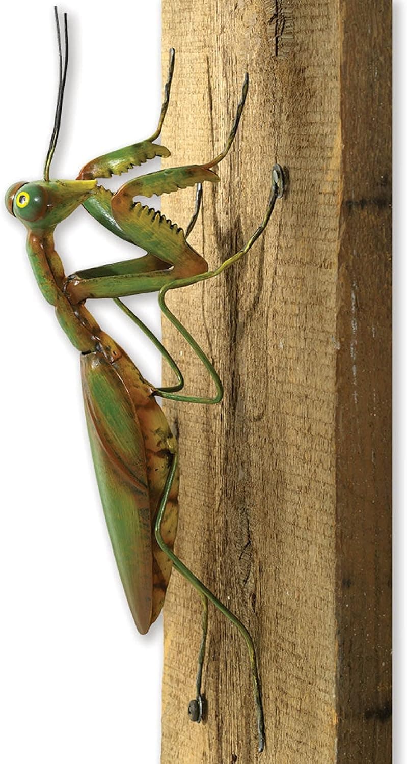 Bits and Pieces - Praying Mantis Tree Hanger - Whimsical Yard Decoration - Realistic Tree Sculpture - Weather-Resistant Garden Peeker Hugger for Outdoor and Landscape Décor - 12" x 5" x 3½"