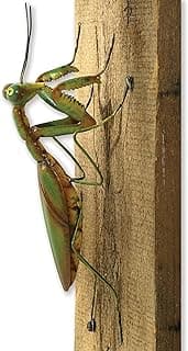 Bits and Pieces - Praying Mantis Tree Hanger - Whimsical Yard Decoration - Realistic Tree Sculpture - Weather-Resistant Garden Peeker Hugger for Outdoor and Landscape Décor - 12" x 5" x 3½"