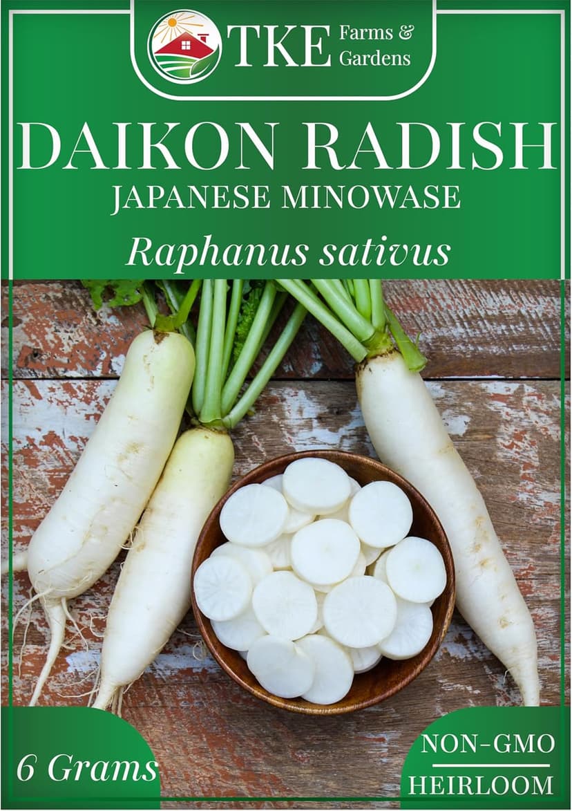 Daikon Radish Seeds for Planting, 500+ Heirloom Non-GMO Seeds, Japanese Minowase, Fast-Growing & Low-Calorie Superfood, Great for Pickling & Cover Crops, Instructions Included