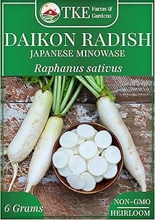 Daikon Radish Seeds for Planting, 500+ Heirloom Non-GMO Seeds, Japanese Minowase, Fast-Growing & Low-Calorie Superfood, Great for Pickling & Cover Crops, Instructions Included