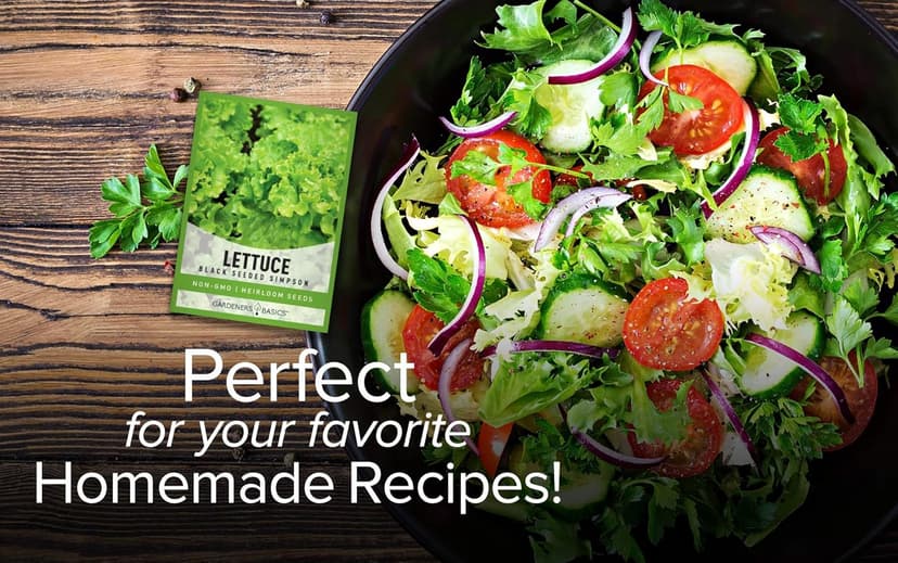 Gardeners Basics, Green Leaf Lettuce Seeds for Planting - (Black Seeded Simpson Variety) Heirloom, Non-GMO Lettuce Variety- 2 Grams Seed Great for Spring, Summer, Fall, Winter Garden and Hydroponics
