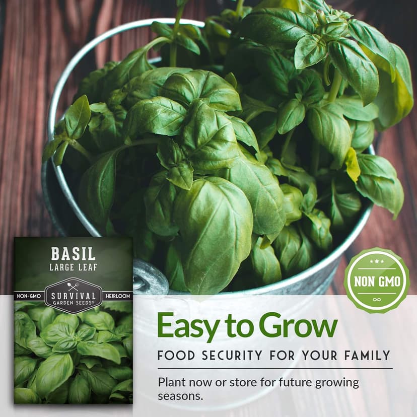 Survival Garden Seeds Herb Collection Seed Vault - Parsley, Cilantro, Basil, Lemon Balm, Dill - Non-GMO Heirloom Survival Garden Seeds for Planting - Grow Herbs Indoors Year Round