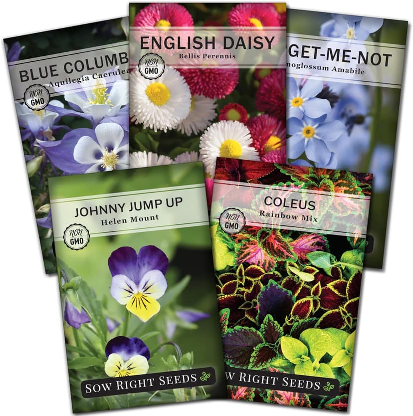 Sow Right Seeds - Part Shade Flower Seed Collection for Planting - 5 Packets Blue Columbine, Violet, English Daisy, Forget-me-not, and Rainbow Coleus - Non-GMO Heirloom to Grow in Low Sun Areas
