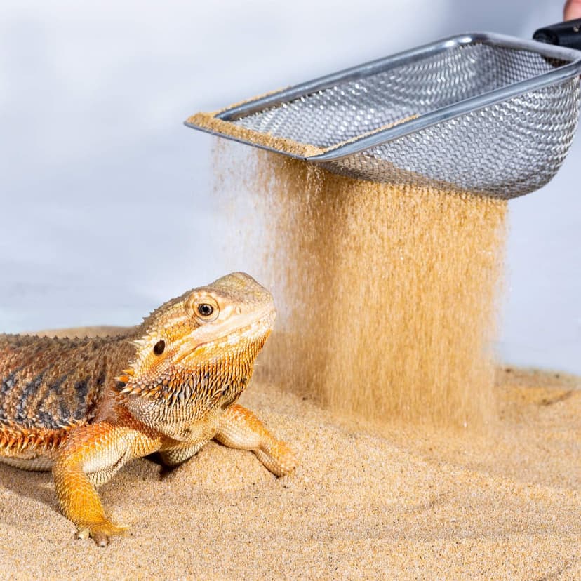 REPTI Zoo Reptile Sand Stainless Steel Fine Mesh Reptile Substrate Metal Sand Shovel Terrarium Substrate Long-Lasting Litter Cleaner Corner Scoop