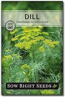 Sow Right Seeds - Dill Seed for Planting - Non-GMO Heirloom Packet with Instructions to Plant and Grow Herb Garden - Indoors or Outdoors - Homemade Dill Pickles - Wonderful Companion Plant (1)