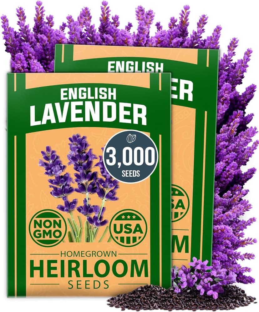 HOME GROWN 𝗣𝗥𝗘𝗠𝗜𝗨𝗠 English Lavender Seeds 2 Pack,3000 𝗡𝗢𝗡-𝗚𝗠𝗢,𝗨𝗦𝗔-𝗦𝗢𝗨𝗥𝗖𝗘𝗗 Wildflower Seed for Planting Indoor/Outdoor,High Germination,Plant Flower Seeds(Lavandula antustifolia)