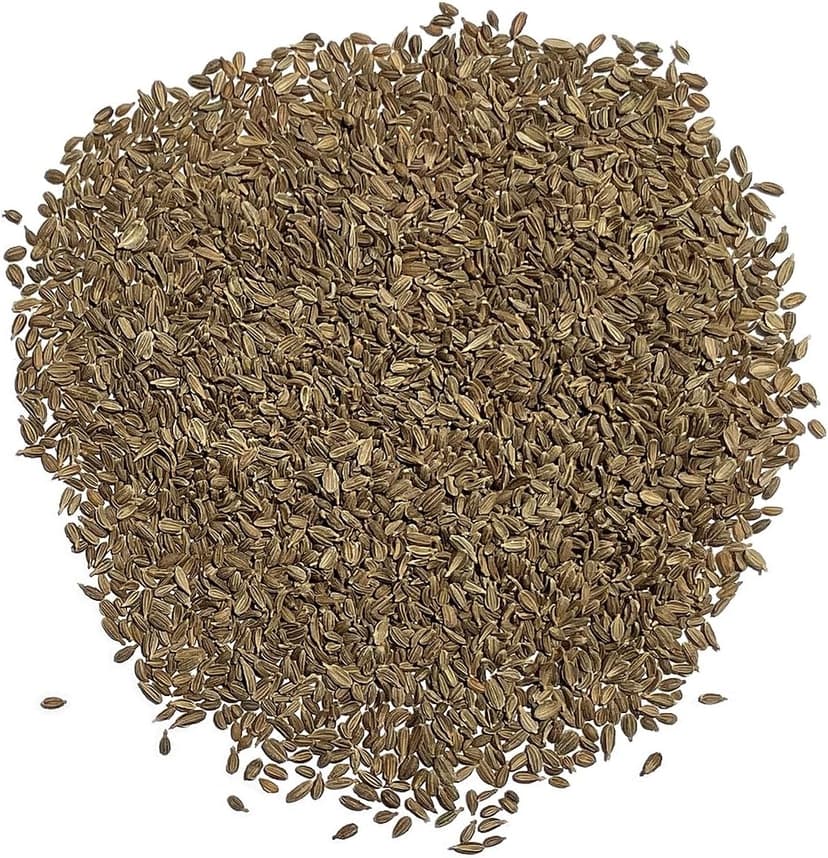 Organic Carrot Seeds (Rainbow Blend) - Approx 500 Seeds - USDA Organic, Non-GMO, Open Pollinated, Heirloom, USA Origin