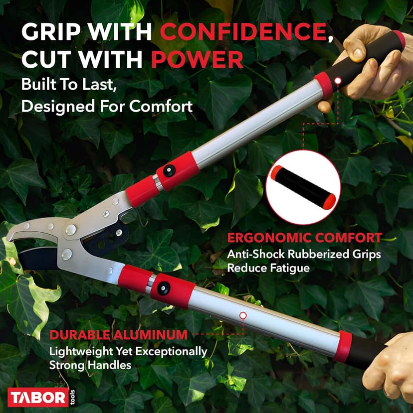TABOR TOOLS GG22A Telescopic Extendable Anvil Lopper with Compound Action, 27-40 Inch Telescopic Tree Trimmer, Long Handled Branch Cutter with ⌀ 2 Inch Cut Capacity, Chops Thick Branches with Ease.