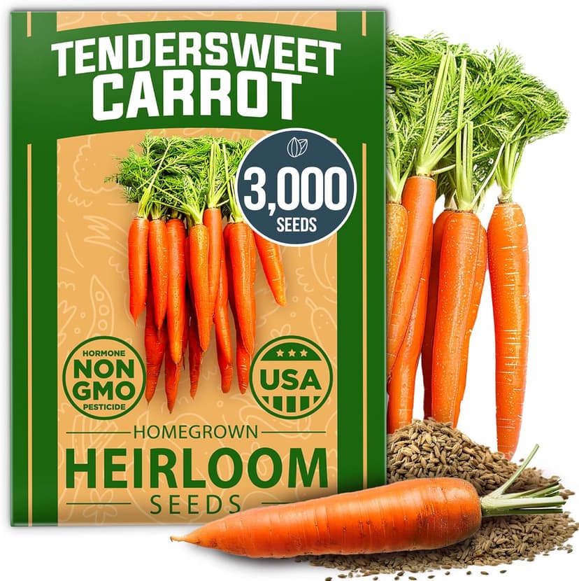 HOME GROWN Tendersweet Carrots Pack (Daucus carota subsp. sativus) - 3000 𝗡𝗢𝗡-𝗚𝗠𝗢 𝗨𝗦𝗔-𝗦𝗢𝗨𝗥𝗖𝗘𝗗 Heirloom Seeds for Planting Outdoors - High-Germination Vegetable for a Lush Garden