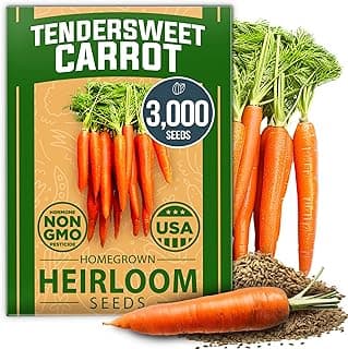HOME GROWN Tendersweet Carrots Pack (Daucus carota subsp. sativus) - 3000 𝗡𝗢𝗡-𝗚𝗠𝗢 𝗨𝗦𝗔-𝗦𝗢𝗨𝗥𝗖𝗘𝗗 Heirloom Seeds for Planting Outdoors - High-Germination Vegetable for a Lush Garden