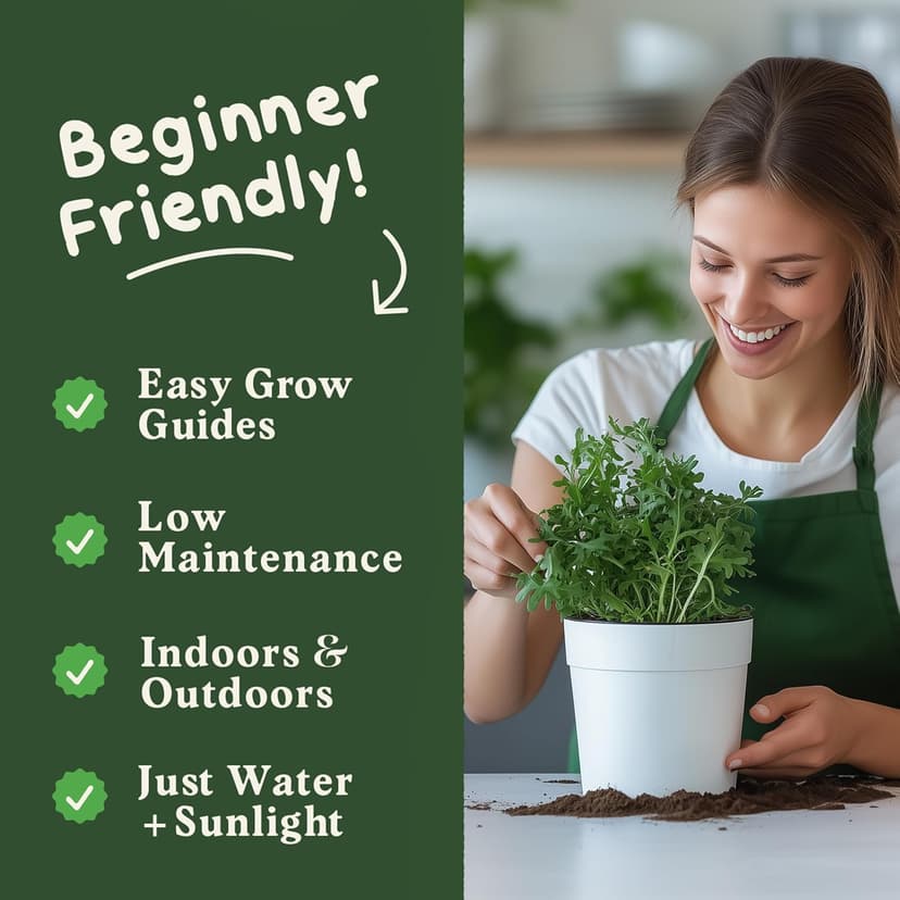 Organic Arugula 'Slow Bolt' Seeds for Planting Indoor and Outdoor, Non-GMO and USDA Certified Herb Seed Packet for Hydroponic Garden Indoor or Planting Outdoors (Slow Bolt Arugula)