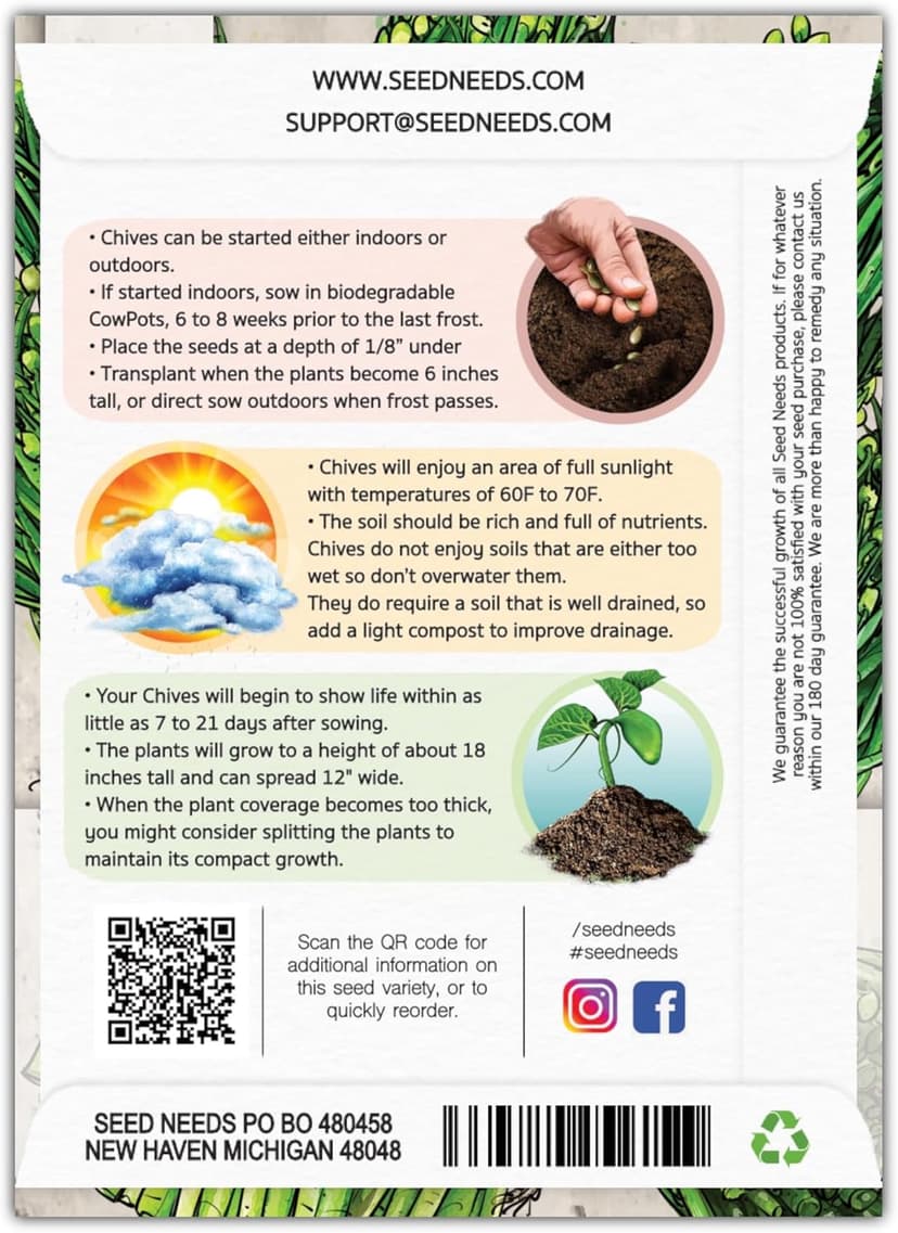 Seed Needs Chive Seeds for Planting Garlic Chives - Non-GMO Heirloom & Untreated Perennial Herbs to Grow an Indoor or Outdoor Home Herb Grown Garden (1 Pack)