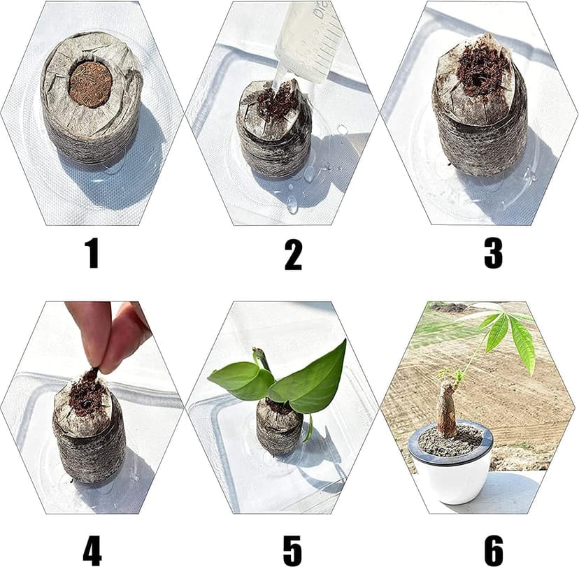 Woohome 150 PCS Peat Pellets Seeding Soil with Plant Label, Nutrient Block Compressed Peat Block, Plastic Plant Tags and Loose Soil Tool for Indoor Outdoor Gardening Seedling Transplanting Growing