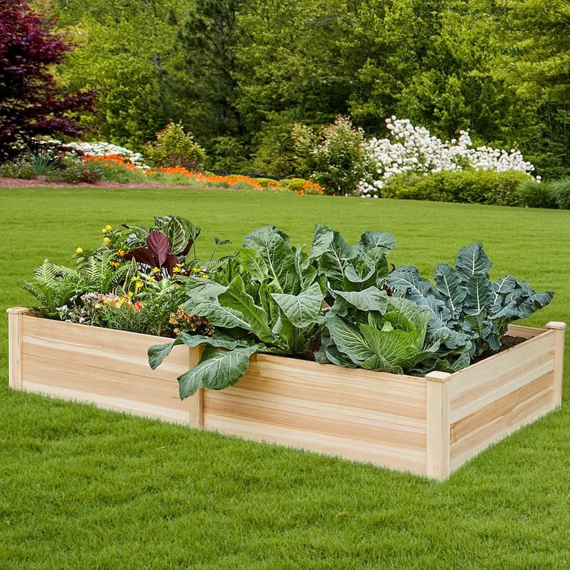 Amerlife 8x4 Ft Wood Raised Garden Bed, Durable 15 Inch Depth Planter Box for Vegetables, Herbs, and Flowers, Ideal for Outdoor Gardening with Open Base