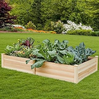 Amerlife 8x4 Ft Wood Raised Garden Bed, Durable 15 Inch Depth Planter Box for Vegetables, Herbs, and Flowers, Ideal for Outdoor Gardening with Open Base