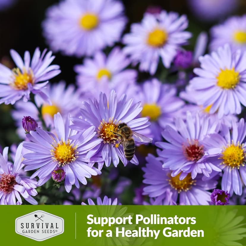 1 Pack Bee Pollinator Mix Seed for Planting - Packet with Instructions to Grow Annual & Perennial Flowers to Feed Bees in Your Home Garden - Non-GMO Heirloom Varieties - Survival Garden Seeds
