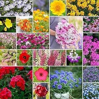 Eden Brothers Partial Shade Wildflower Mixed Seeds for Planting, 1/4 lb, 120,000+ Seeds with Sweet William, Foxglove | Attracts Pollinators, Plant in Spring or Fall, Zones 3, 4, 5, 6, 7, 8, 9, 10