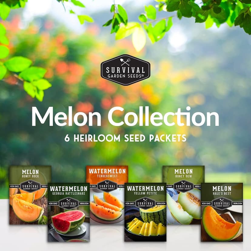 Survival Garden Seeds Melon Collection - 6 Packs of Heirloom Melon Fruit Seed: Honey Rock Cantaloupe, Hale's Best, Honeydew Melons, Yellow Petite, Tendersweet Orange, Georgia Rattlesnake Watermelon