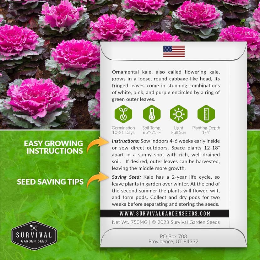 Ornamental Kale Seed for Planting - 1 Packet with Instructions for Growing Ornamental Flowering Kale Plants in Your Home Vegetable Garden - Non-GMO Heirloom Variety - Survival Garden Seeds