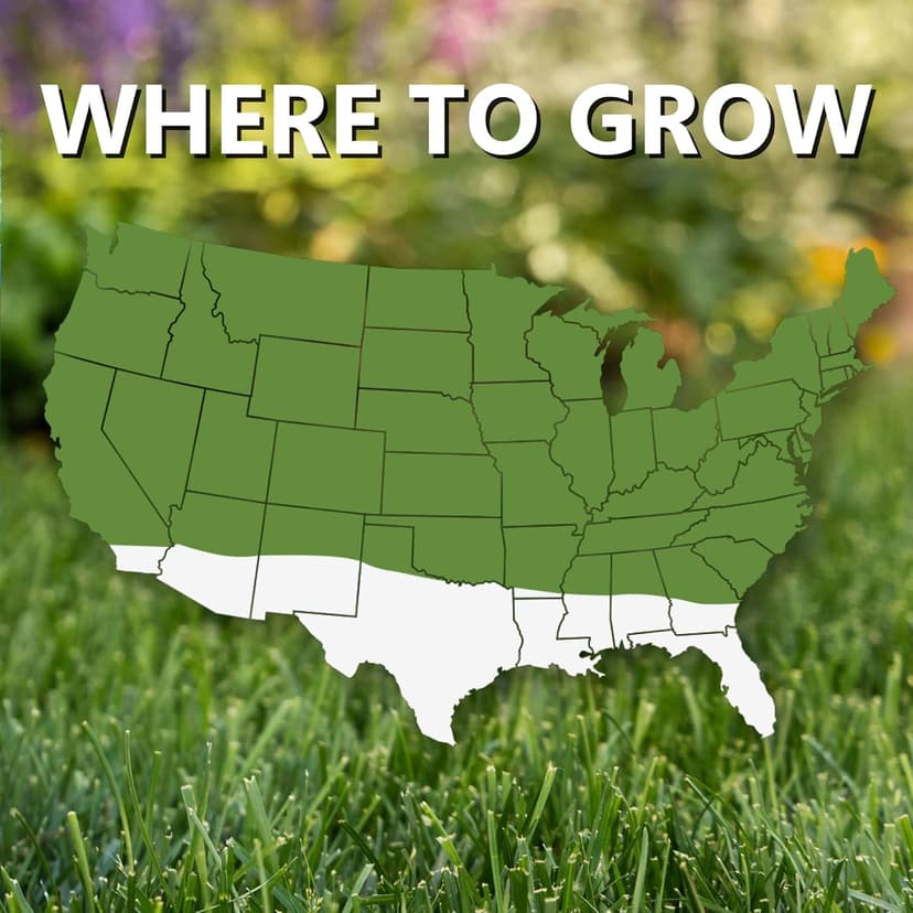 Jonathan Green (10820) Fast Grow Grass Seed - Cool Season Lawn Seed (3 lb)