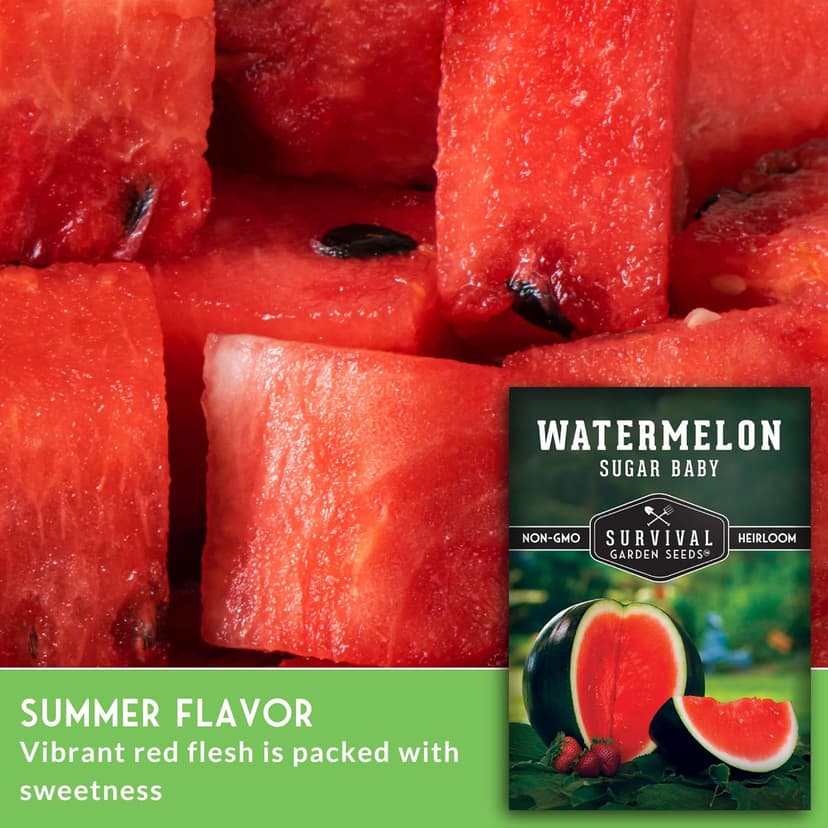 Survival Garden Seeds Sugar Baby Watermelon Seed for Planting - 1 Packet with Instructions to Plant and Grow Little Round Watermelons in Your Home Vegetable Garden - Non-GMO Heirloom Variety