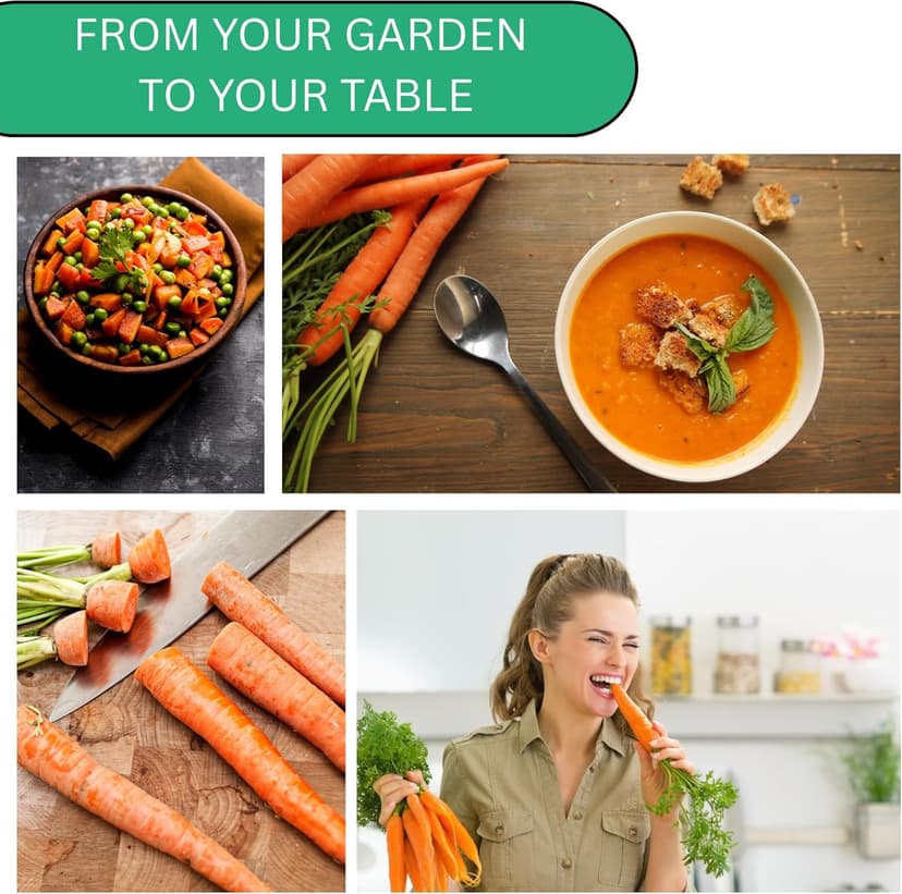 Imperator 58 Carrot Seeds for Planting - Over 1,000 Heirloom Carrot Seed Pack - Non-GMO Carrots Seeds for Planting Outdoors or Indoors - Beginner Friendly Vegetable Gardening