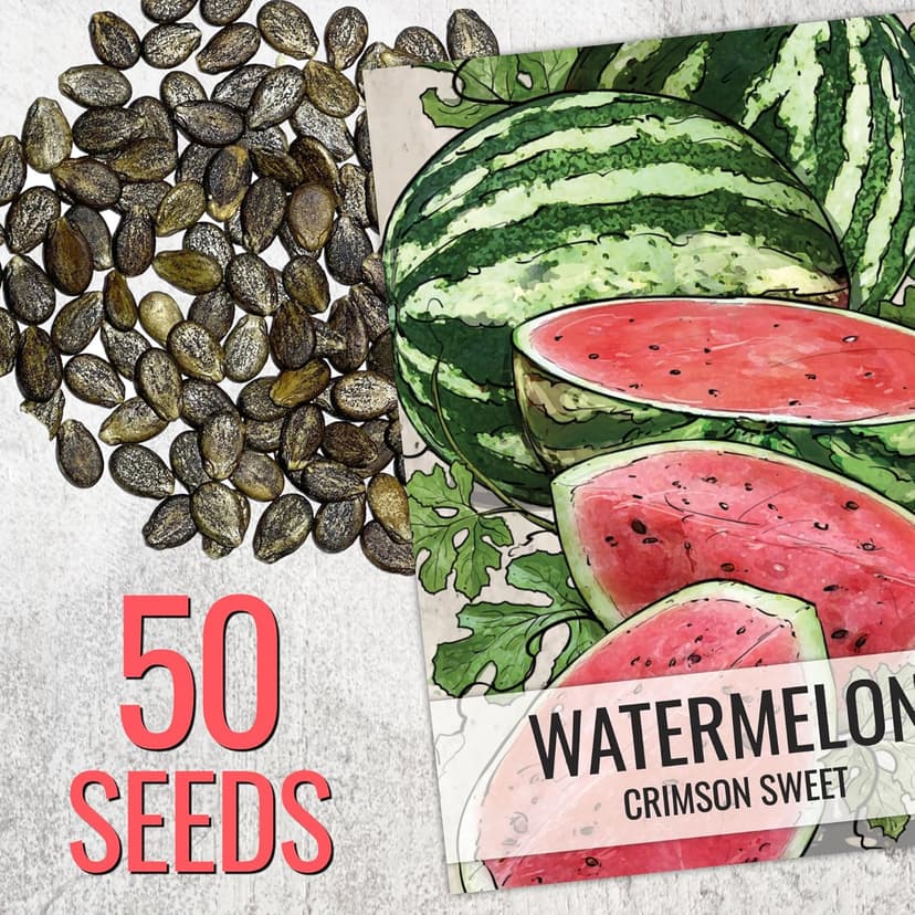 Seed Needs Watermelon Seeds for Planting Crimson Sweet Watermelons - Non-GMO Heirloom & Untreated - Grow an Outdoor Home Grown Garden Filled with Sweet Fruits (1 Pack)