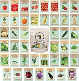 The 11 best companion planting seeds of 2025