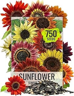 Seed Needs Sunflower Seeds to Plant Sunset Blend 7 Varieties Mix | 750+ Seeds Helianthus Annuus Heirloom Open Pollinated Bulk Flower Seed | Multicolored Sun Flowers Garden Favorite