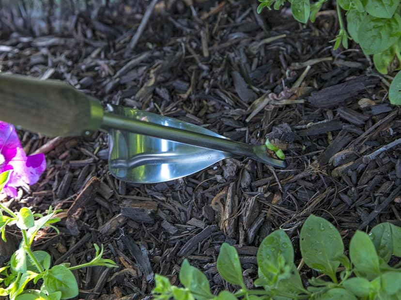 Stainless Steel Daisy Grubber