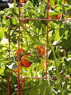 Gardener’s Supply Company Extra Tall Heavy-Guage Square Tomato Cages | Easy Fold Plant Supports & Vegetable Garden Stakes | 14.25" x 14.25" x 65" - Red (Set of 2)