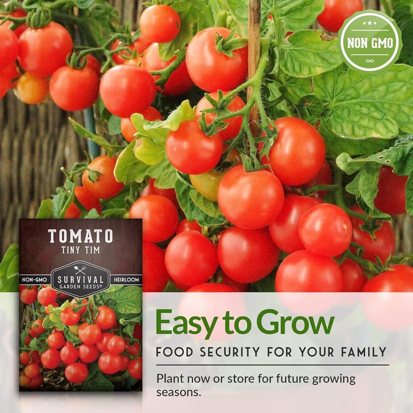 Survival Garden Seeds - Tiny Tim Tomato Seeds for Planting - 1 Pack with Instructions to Grow in Your Home Vegetable Garden - Non-GMO Heirloom Variety