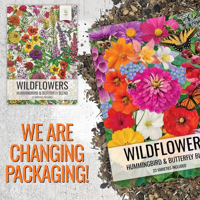Seed Needs Wildflower Seeds Butterfly and Hummingbird Seed Mix 2 Ounce No Filler | 23 Varieties Annual & Perennial Species Such as Butterfly Milkweed, Cosmos & Zinnia | Resealable Bulk Package