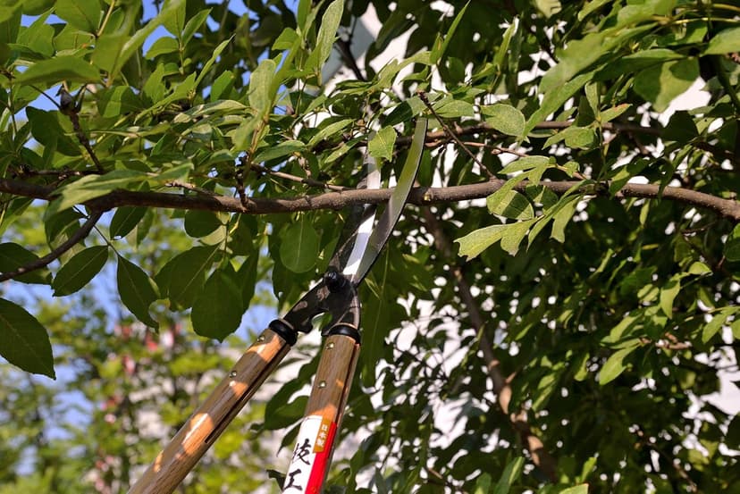 KAKURI Japanese Loppers Hedge Shears for Gardening 26", Long Handled Pruning Shears for Trimming and Pruning, Heavy Duty Long Handle, Made in Japan