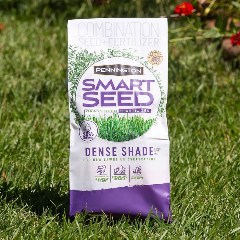 Pennington Smart Seed Dense Shade Grass Mix Bag 7 lb