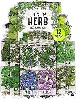 The 13 best cilantro seeds of 2025